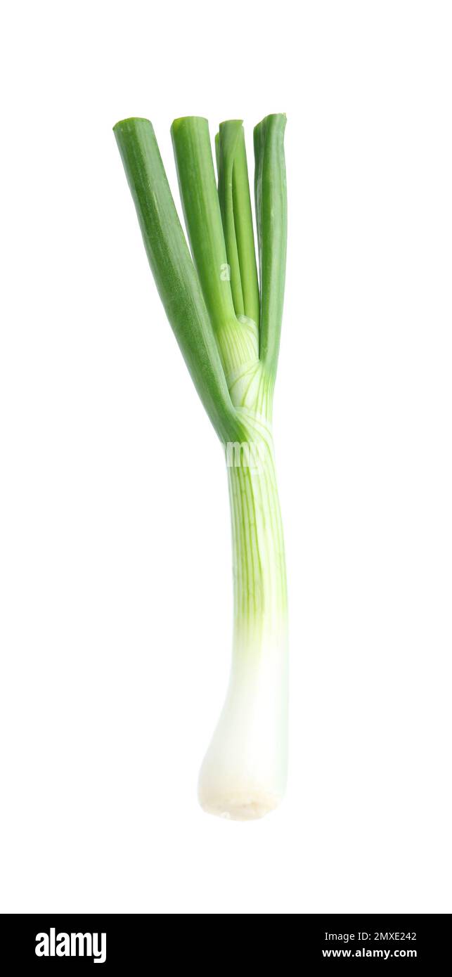 Cipollotto fresco verde isolato su bianco Foto Stock