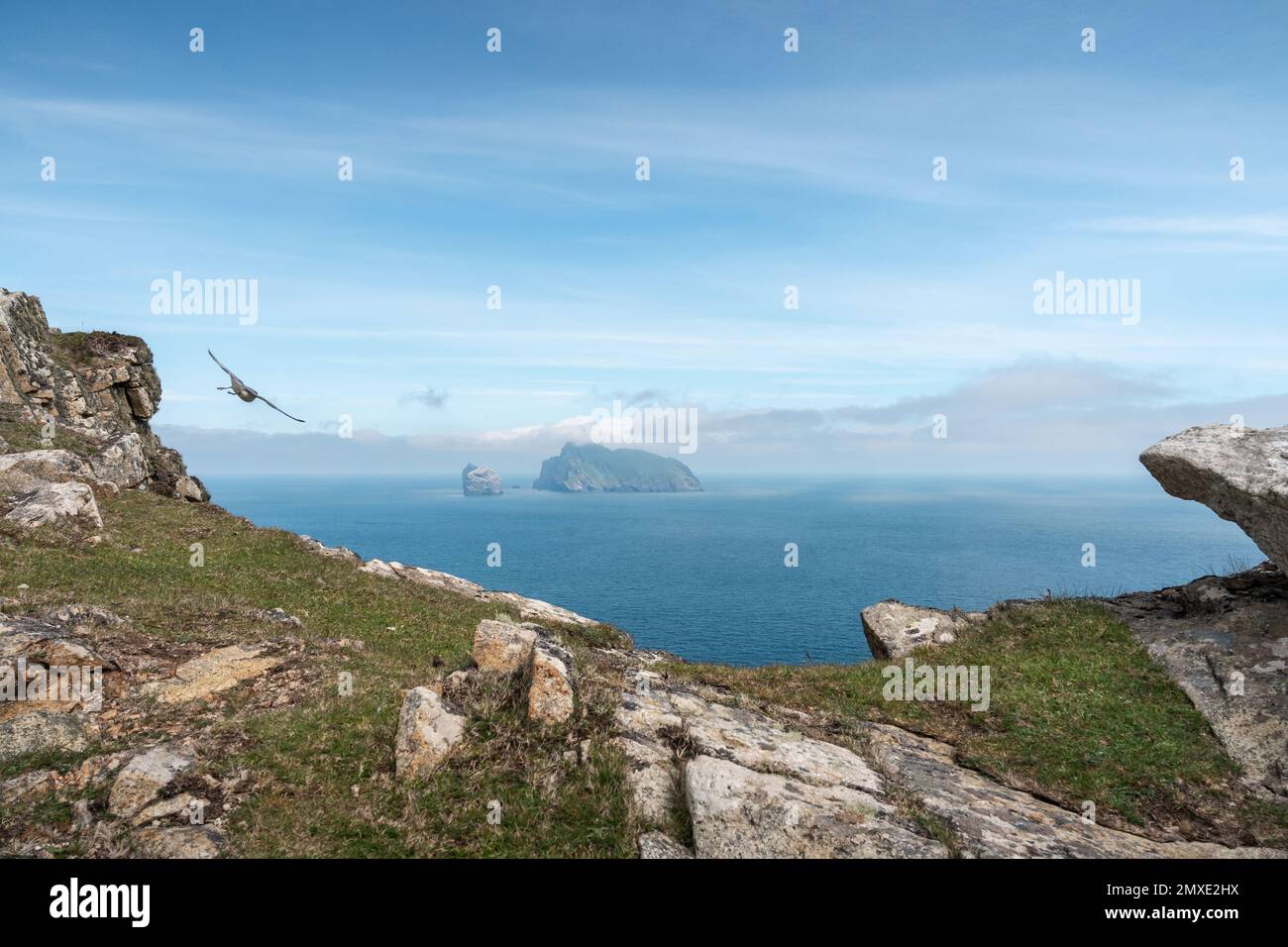 Un fulmar che sorvola un divario roccioso su St Kilda, con Boreray e le sue vicine pile di mare in lontananza. Foto Stock