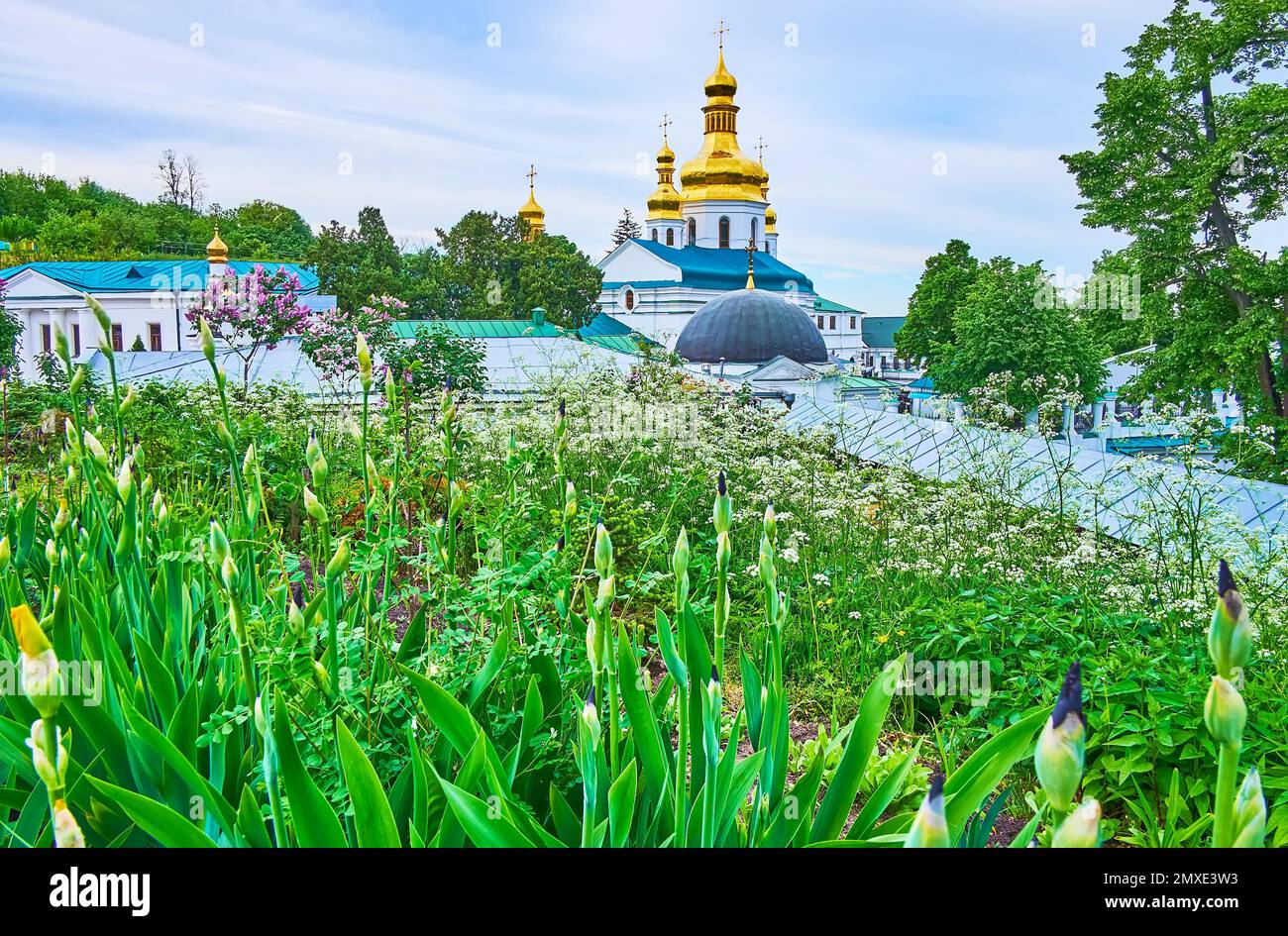 Le belle aiuole di fiori con boccioli di iride e fiori selvatici davanti alle cupole dorate di cipolla della Chiesa dell'esaltazione della Santa Croce a Kyiv Pech Foto Stock