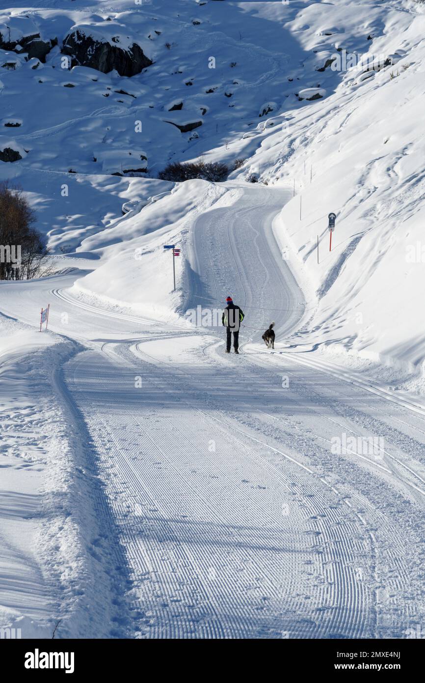 Uomo che cammina il suo cane la mattina presto lungo un sentiero per sci e passeggiate vicino alla località di Les Menuires nelle Alpi francesi Foto Stock
