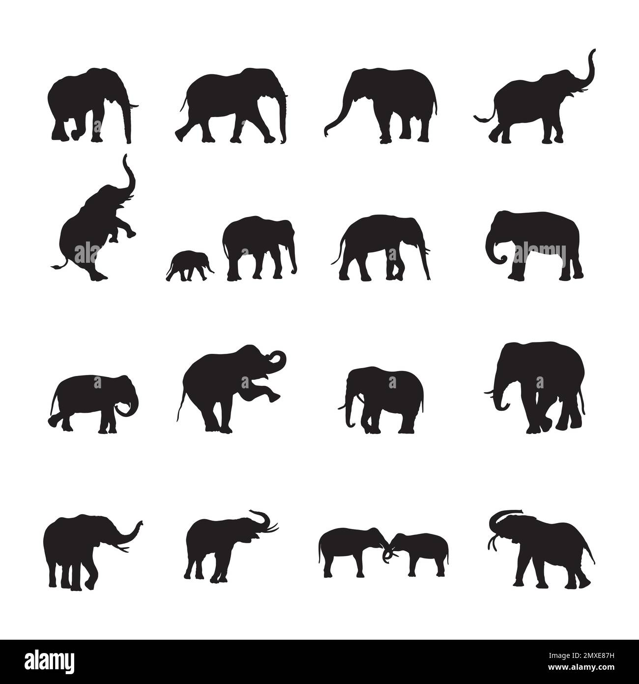 Elephant Silhouettes, collezione di silhouette Elephant Illustrazione Vettoriale