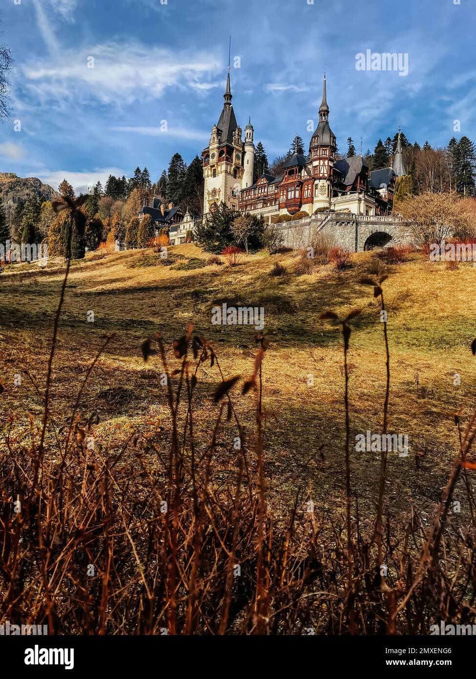 Peles Castello in Carpazi Montagne vicino Sinaia Foto Stock
