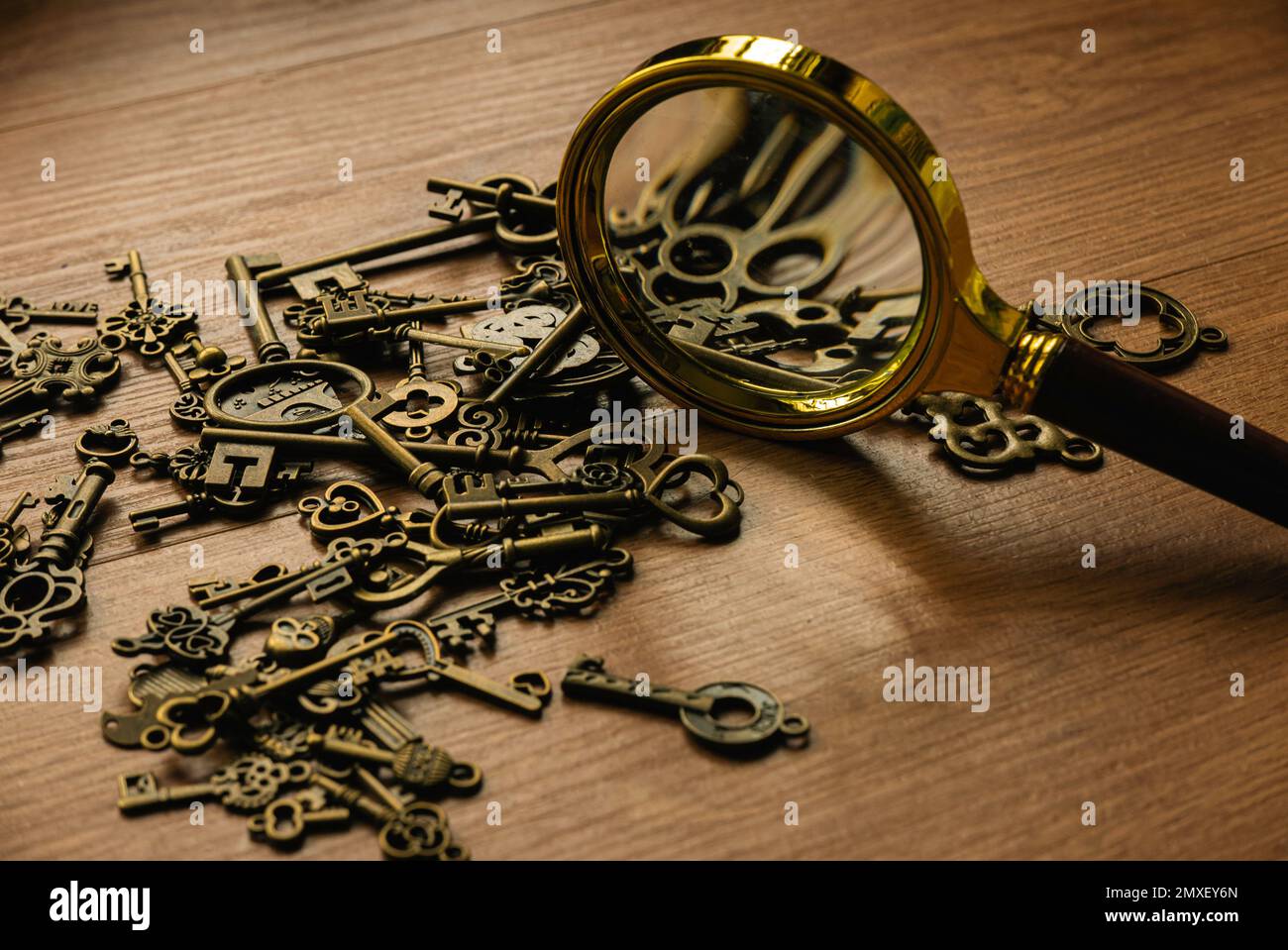 Lente d'ingrandimento e un gruppo di chiavi. Concetto di ricerca della soluzione. Foto Stock