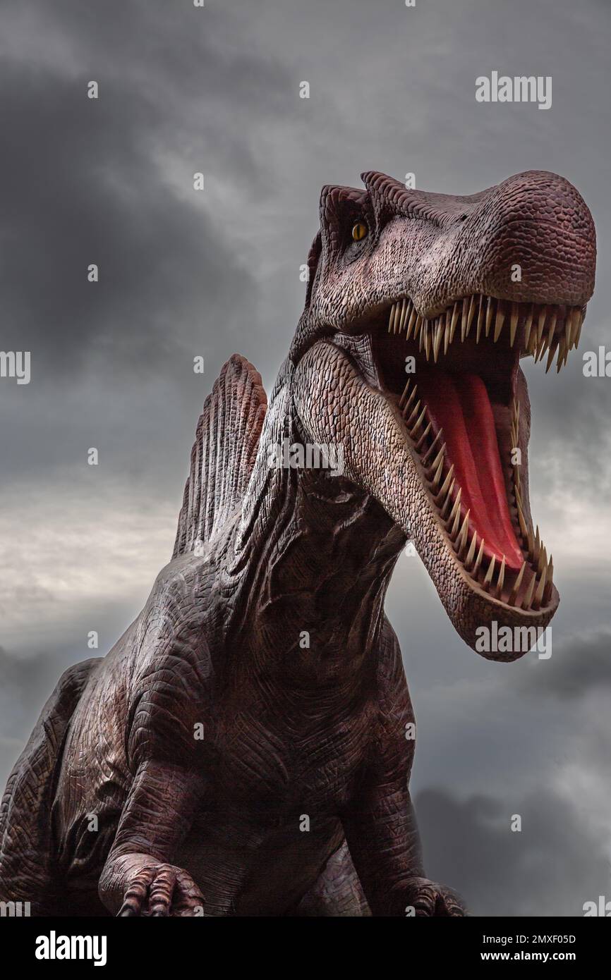 Un feroce dinosauro di nome Spinosauro con la bocca spalancata e che mostra i suoi denti affilati contro un cielo drammatico con spazio di copia Foto Stock