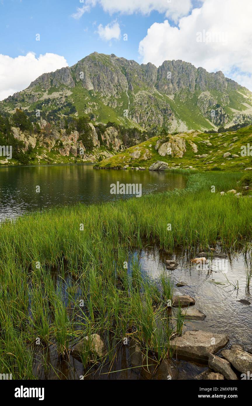 Lac lungo il lago e Tuc Gran de Sendrosa picco in corrispondenza di Aigüestortes i Estany de Sant Maurici National Park (Valle de Arán, Lleida, Pirenei, Catalogna, Spagna) Foto Stock