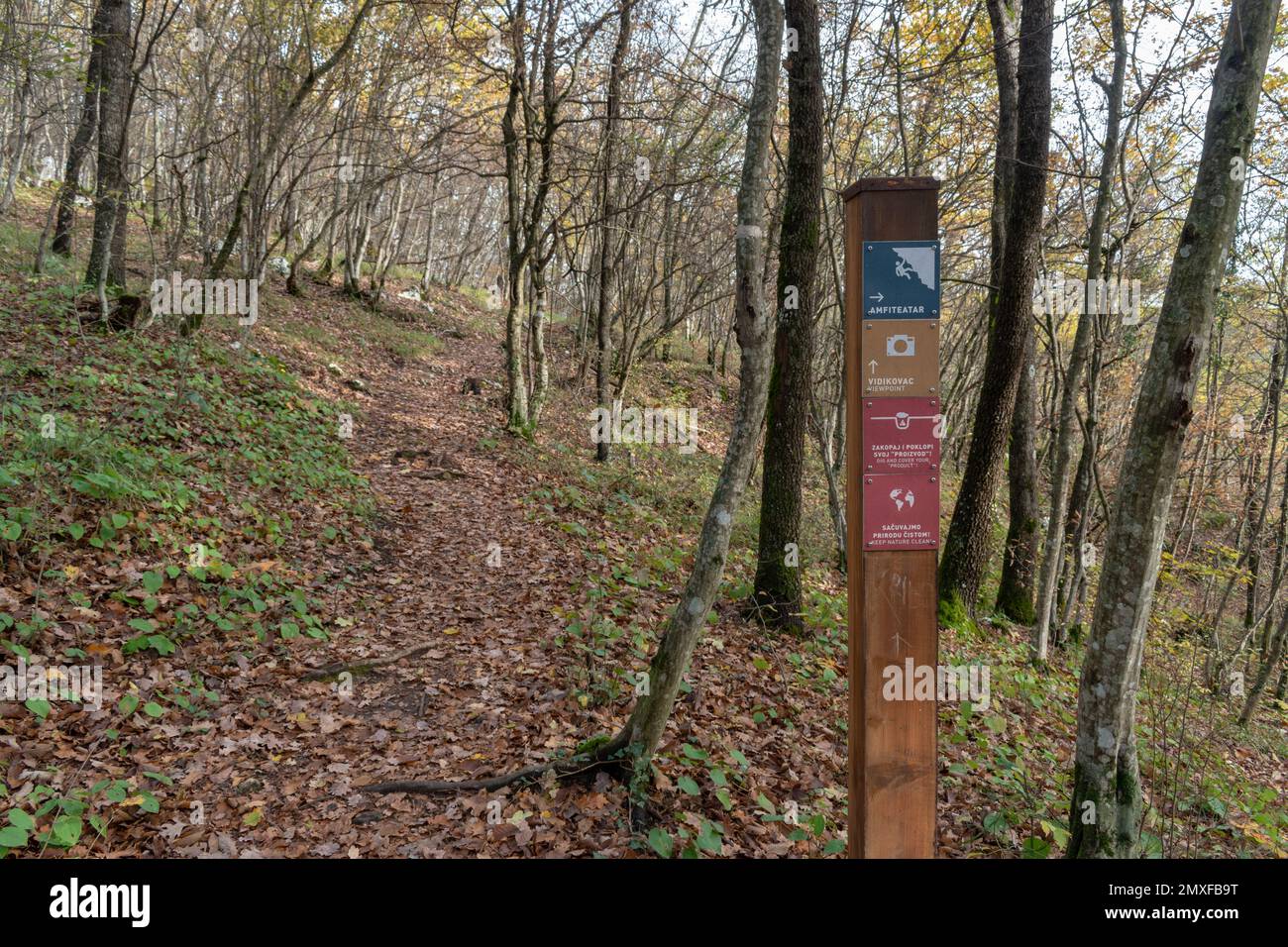 Sentiero forestale per punto di vista sulla montagna Manjača vicino Banja Luka, Bosnia-Erzegovina Foto Stock