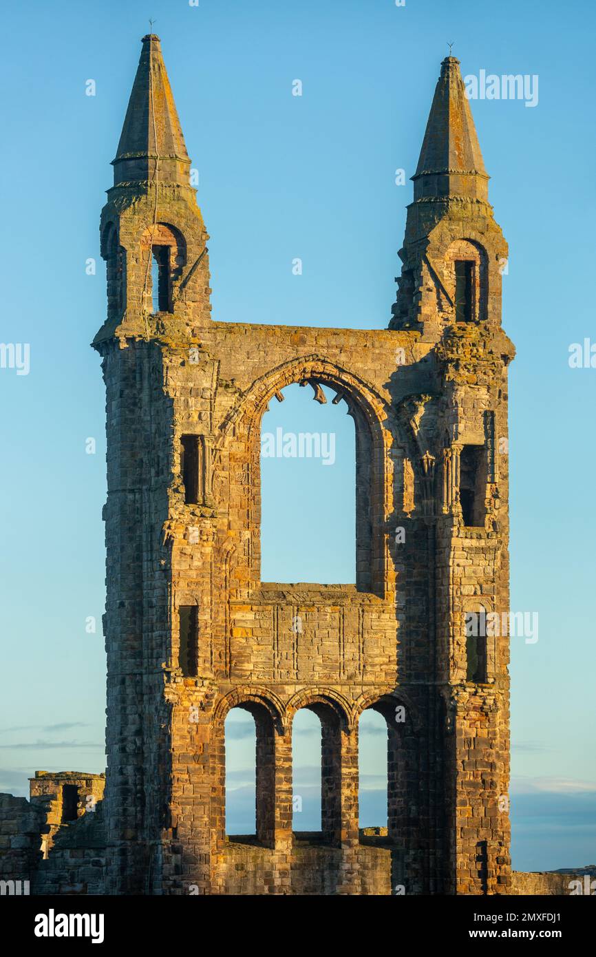 St Andrews Cathedral Foto Stock