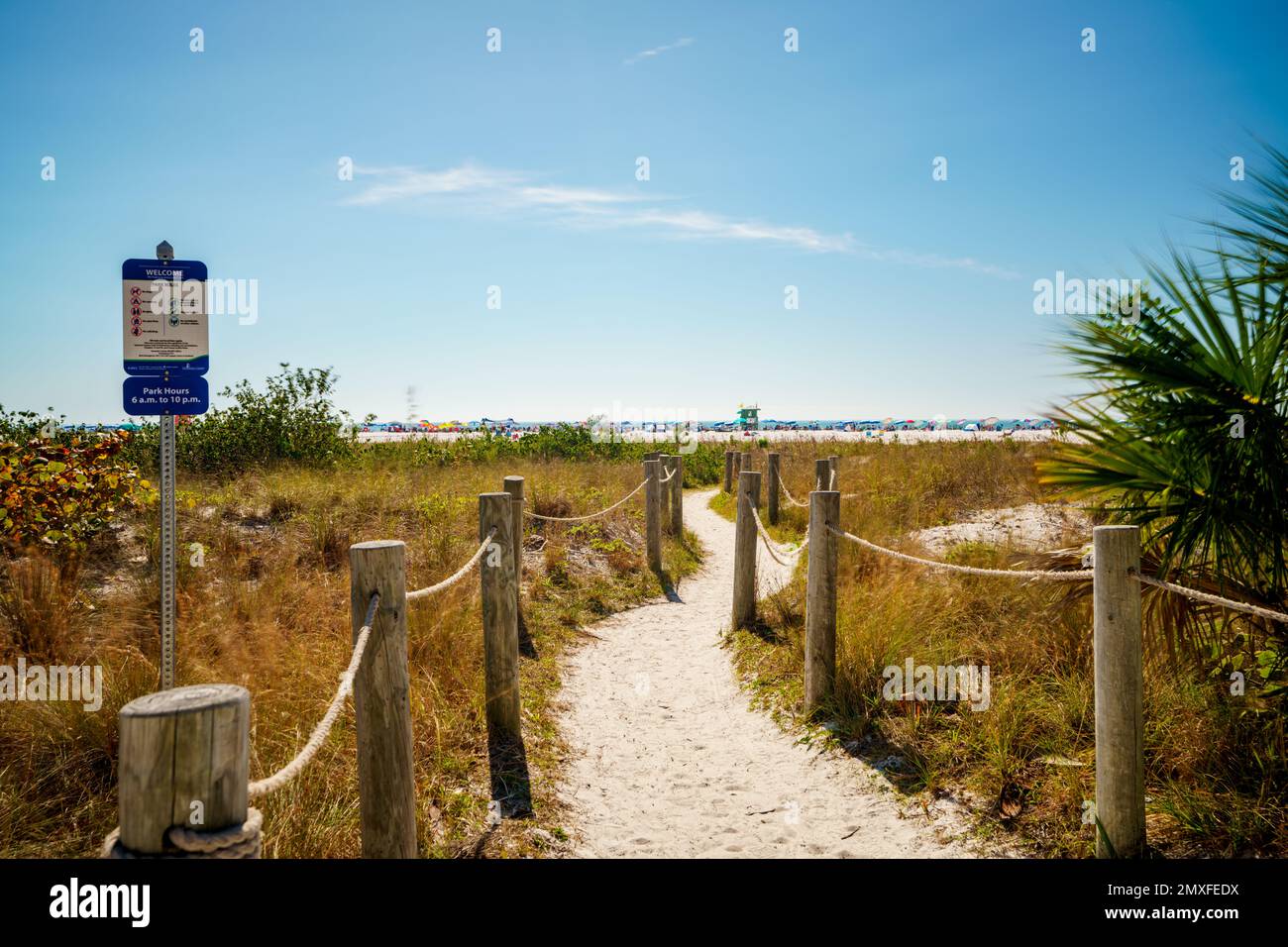 Foto a lunga esposizione della scena di Siesta Key Beach con sfocatura del movimento negli alberi Foto Stock
