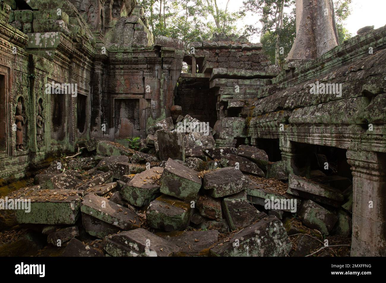 Angkor Wat ( អង្គរវត្) Foto Stock