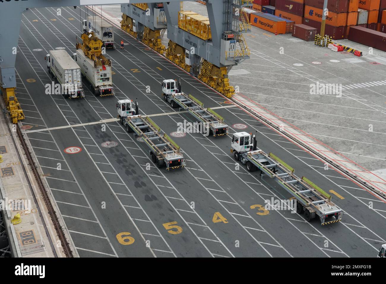 I binari o gli autocarri in fila con i numeri sono in attesa sotto le gru a portale per caricare i container dalla nave nel terminal dei container. Foto Stock