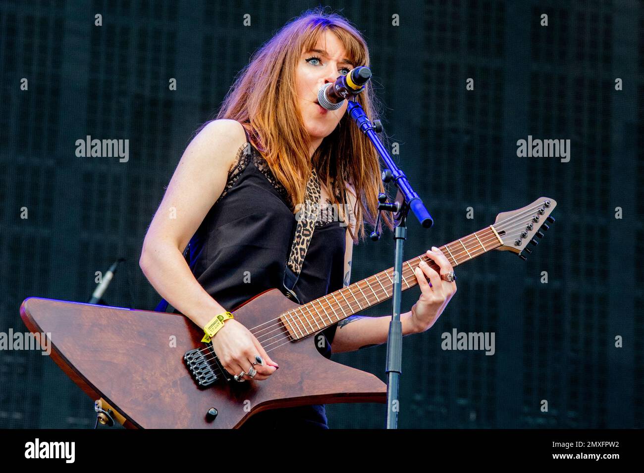 Francia 21 giugno 2019 Lillies caduto - vivere all'Inferno Fest Clisson © Andrea Ripamonti / Alamy Foto Stock