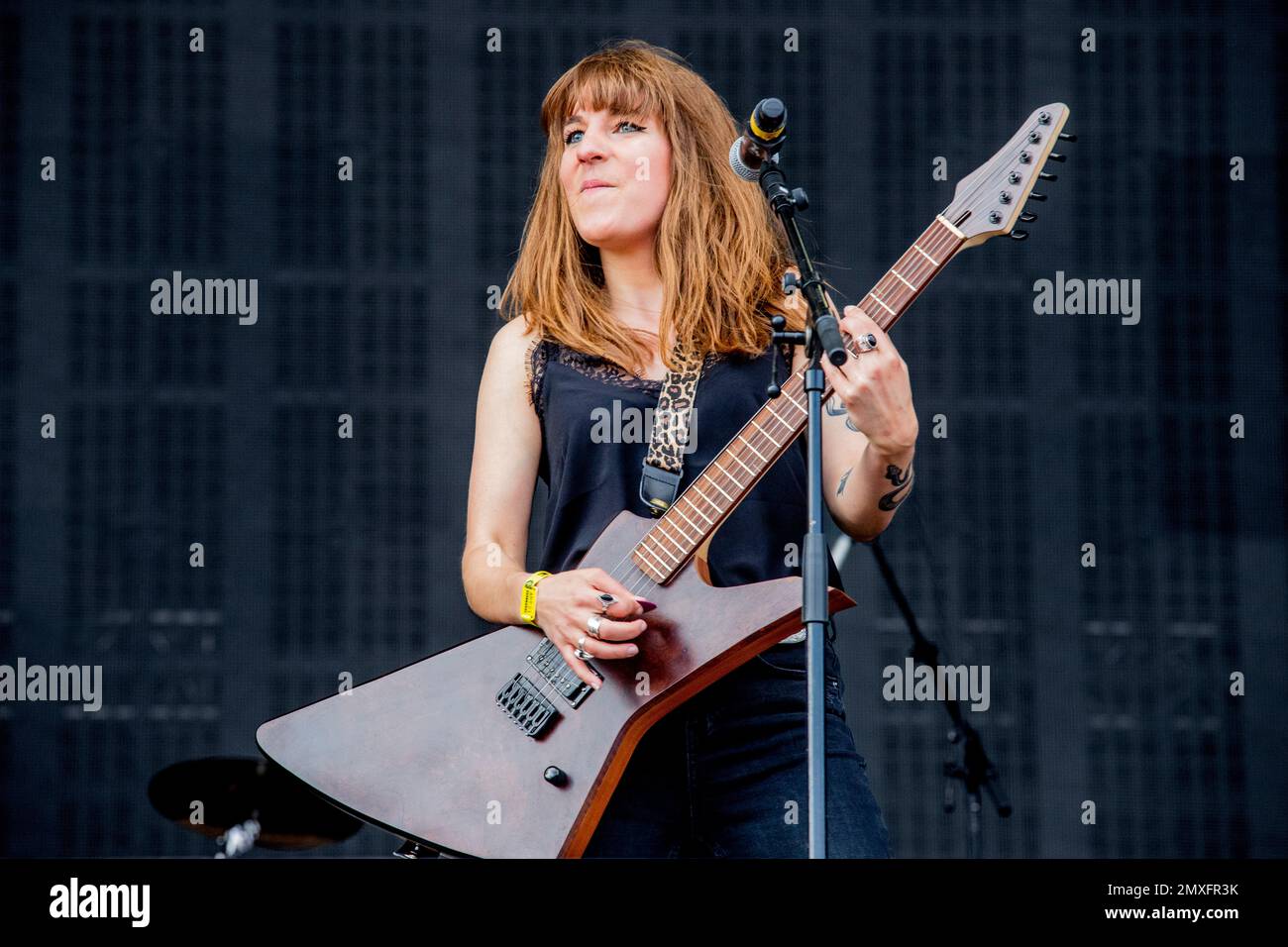 Francia 21 giugno 2019 Lillies caduto - vivere all'Inferno Fest Clisson © Andrea Ripamonti / Alamy Foto Stock