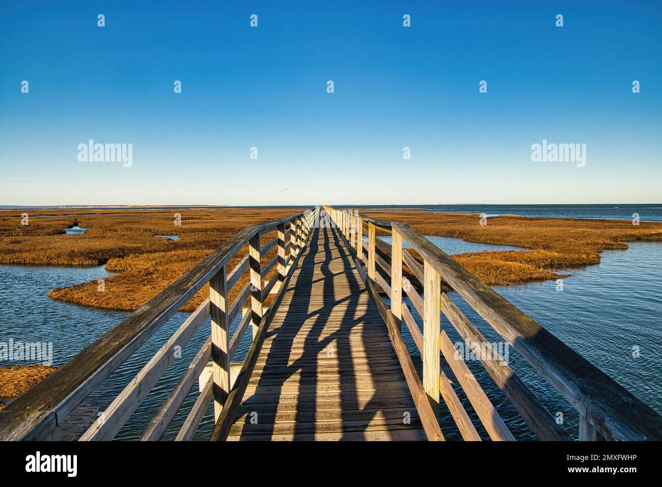 In una giornata invernale senza neve, una passeggiata a mare vuota si estende nella palude di Gray's Beach a Cape Cod vicino a Yarmouth, ma. Foto Stock