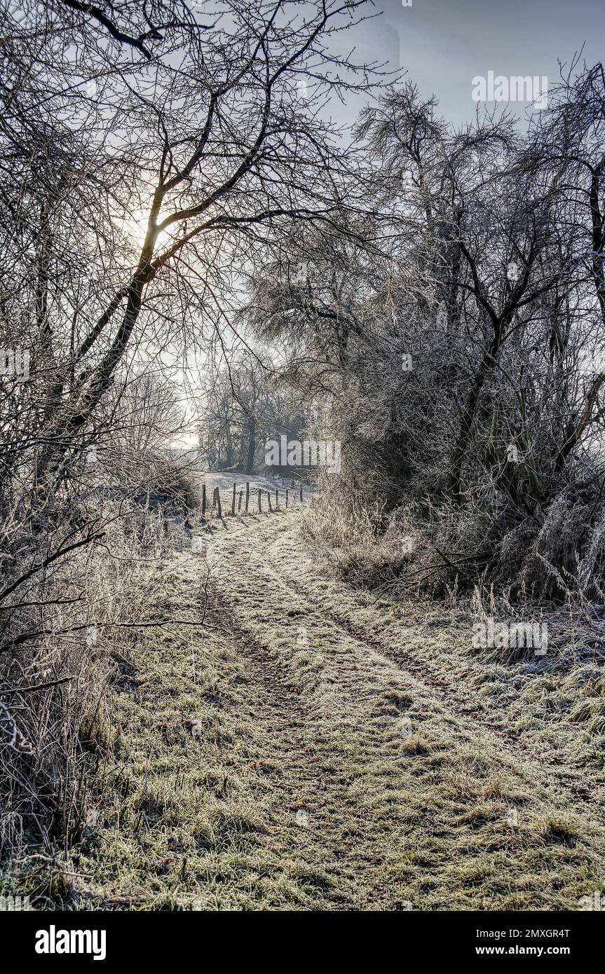 Strada di campagna romatica in inverno, Assia, Germania; Landweg im Winter Foto Stock