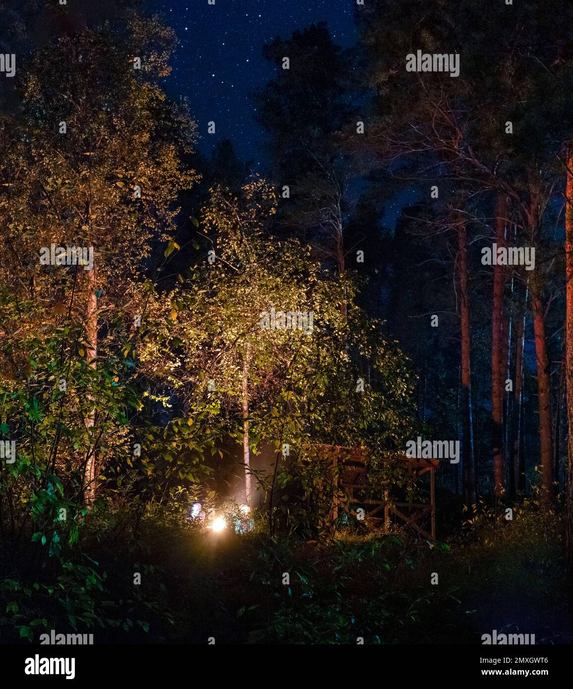 Silhouettes di due ragazze amici seduti accanto al fuoco sotto grandi alberi accanto al gazebo di notte nella foresta con stelle al buio. Foto Stock