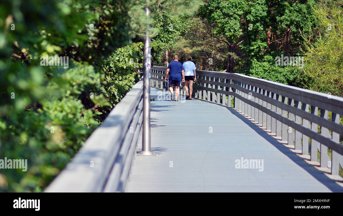Passeggiata in legno tra i verdi che crescono sulle dune. Foto Stock