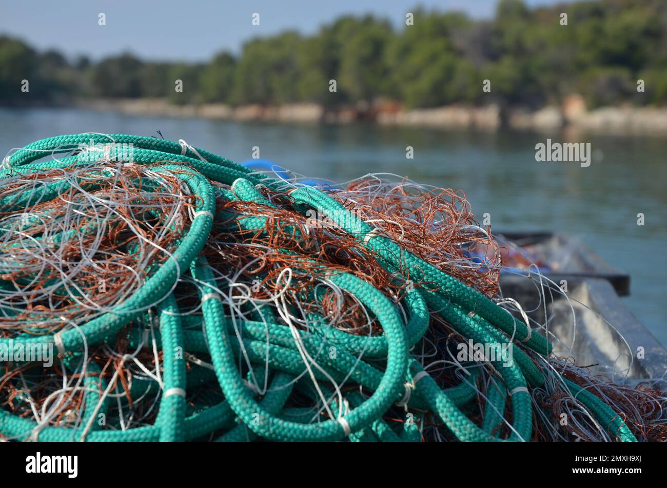 Pesca verde net Foto Stock