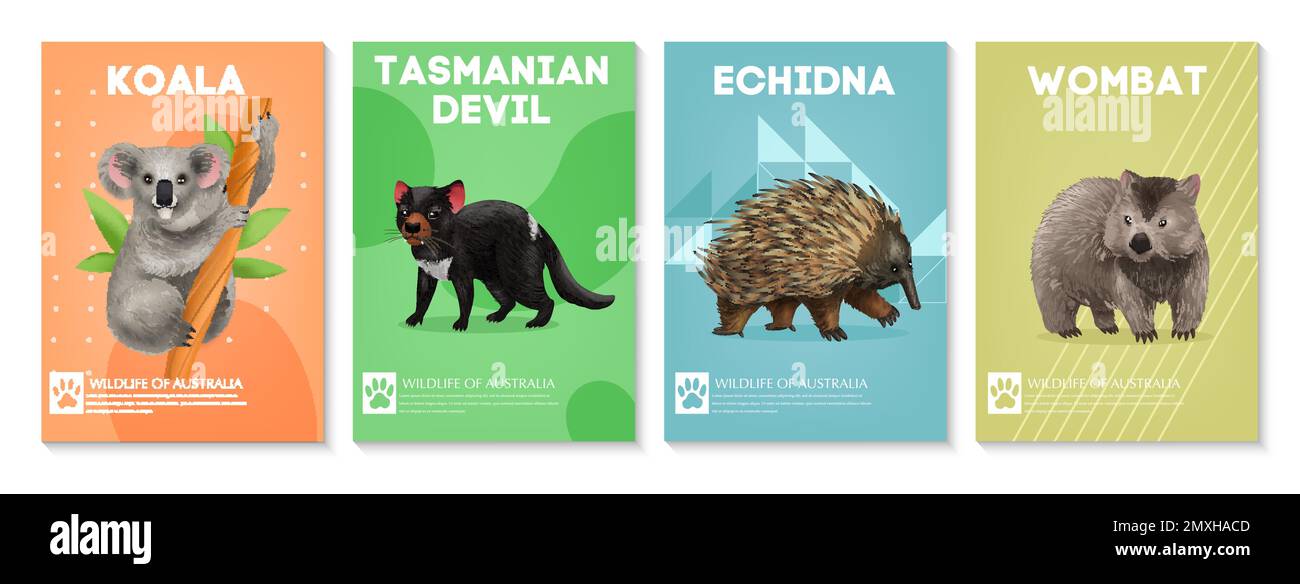 Set di quattro poster verticali con immagini di animali selvatici australiani sfondi astratti e testo modificabile vettore illustrazione Illustrazione Vettoriale