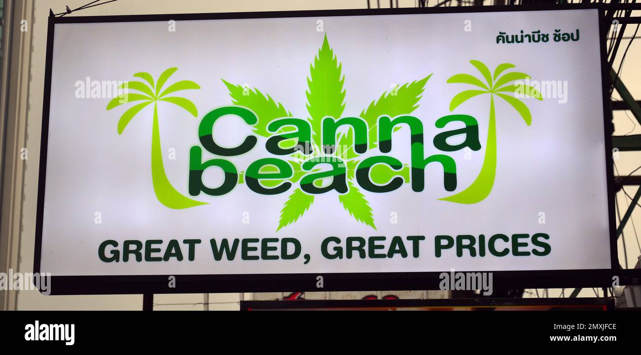 Un segno che fa pubblicità a cannabis o erbacce a Pattaya, Thailandia, Asia. Nel 2022 la Thailandia ha delistato la cannabis come un narcotico; i negozi sono saliti per venderla. Foto Stock