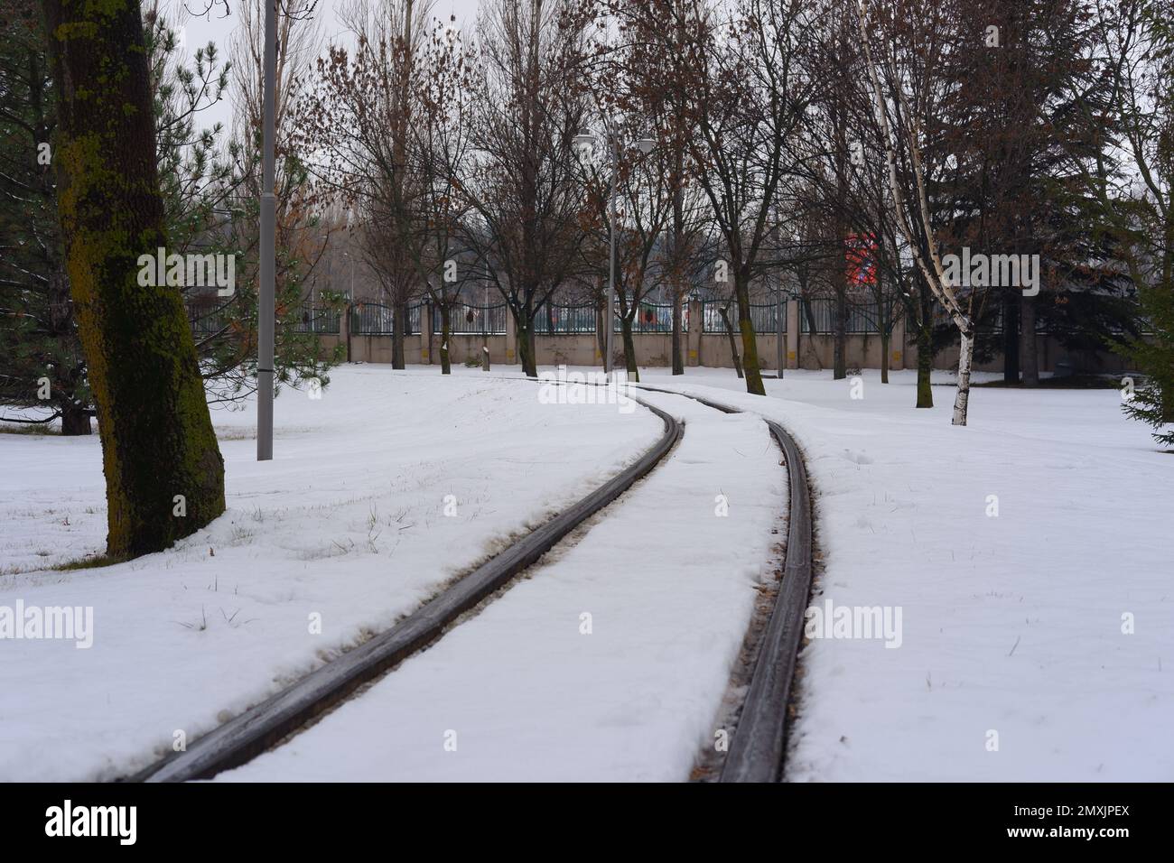 Binari ferroviari ricoperti di neve in inverno freddo con pini vicini Foto Stock