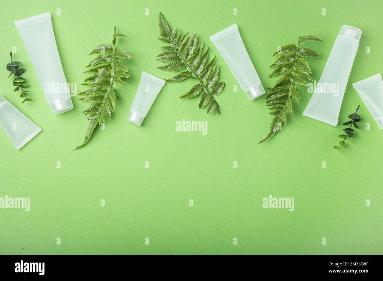 Set di bottiglie di prodotti cosmetici biologici per la cura della pelle e contenitori cosmetici bianchi opachi con foglie di pianta eucalipto su fondo verde pulito fr Foto Stock