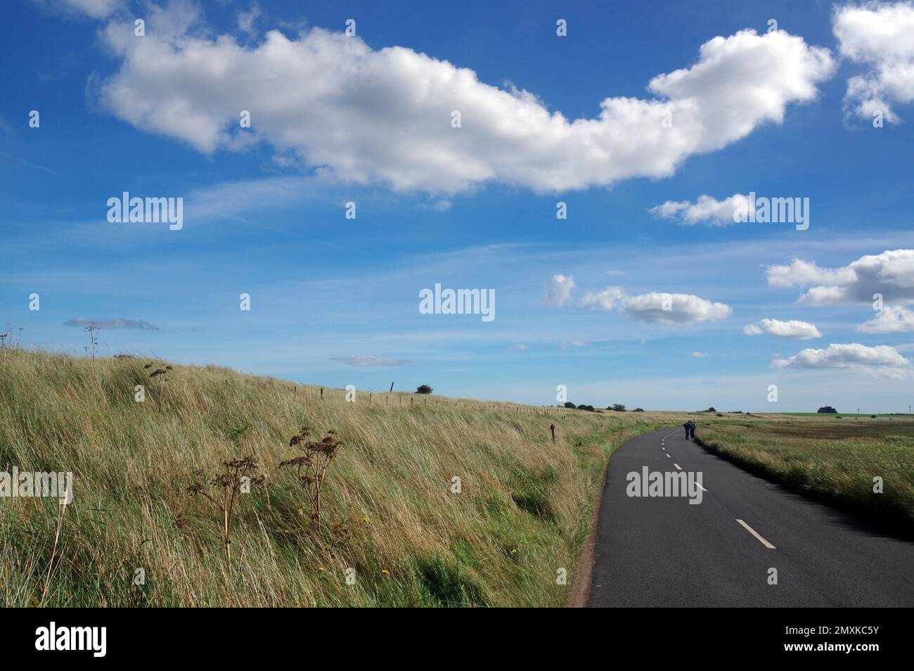Ampio prato e strada stretta, Holy Island, Northumberland, Inghilterra, Regno Unito, Europa Foto Stock
