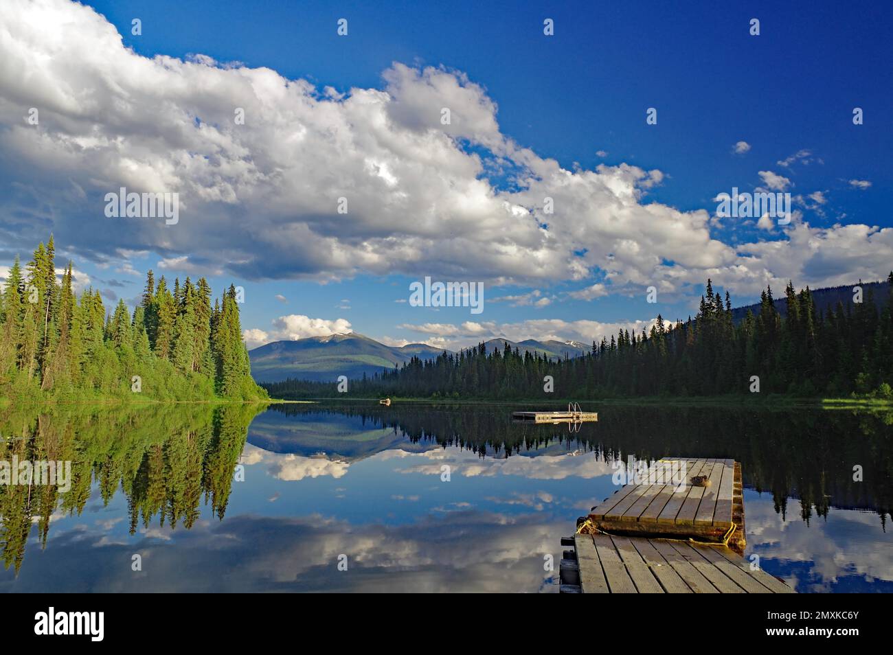 Alberi e nuvole riflessi nell'acqua liscia di un lago, idile, Canada tipico, Principe George, British Columbia, Canada, Nord America Foto Stock