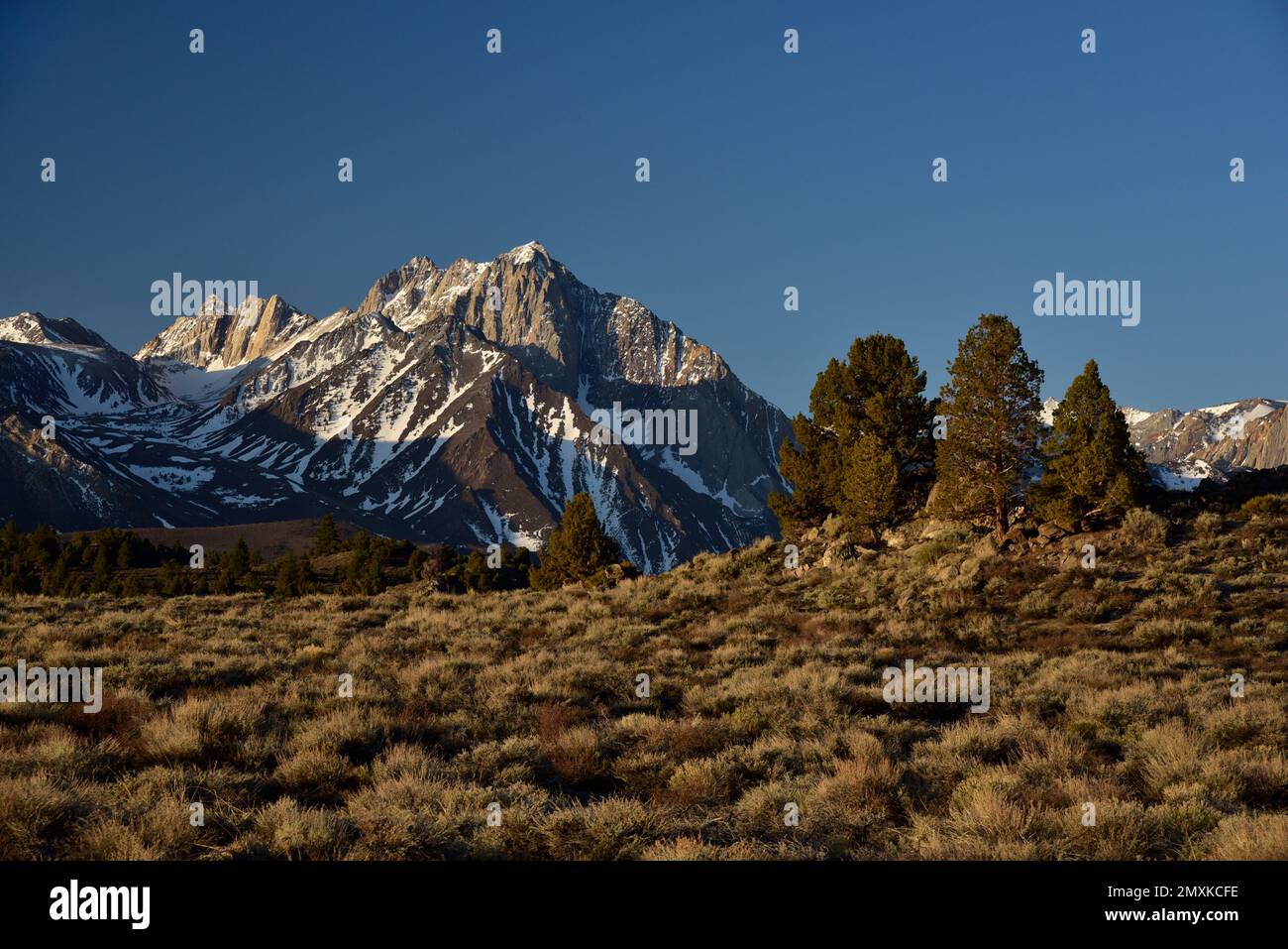 Vista sul sito geotermico di Hot Creek, Sierras orientale, California Foto Stock