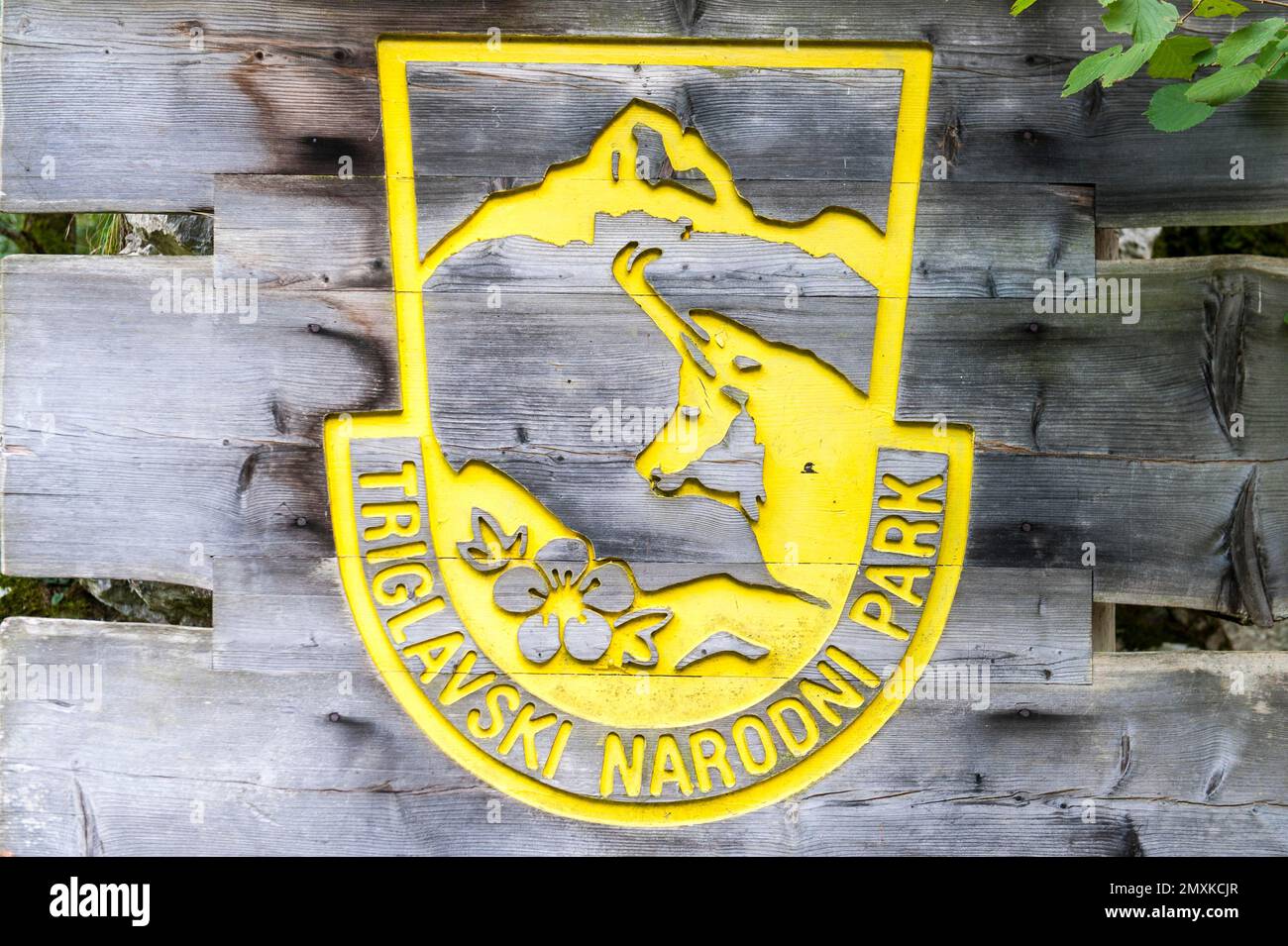 Cartello in legno giallo con simbolo NP Gams, Parco Triglavski Narodni, Krn, Monte Nero, Parco Nazionale del Triglav, Alpi Giulie, Slovenia, Europa Foto Stock