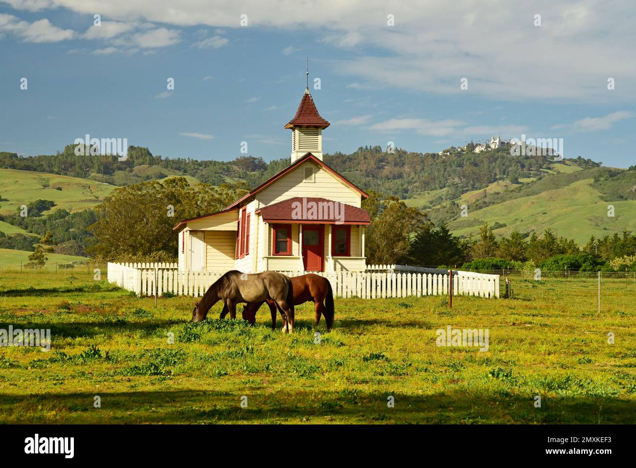 Scenario rurale con piccolo edificio simile a una chiesa e cavalli al pascolo, San Simeon, California. Il Castello di Hearst si trova in cima alla collina sullo sfondo. Foto Stock