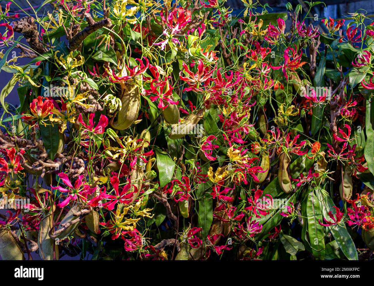 Sistemazione artistica di fiori recisi, Berlino, Germania, Europa Foto Stock