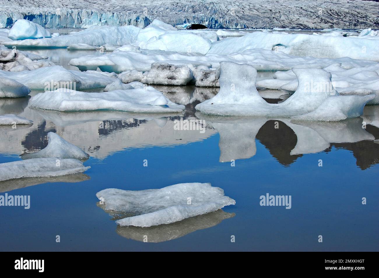 Ghiacciaio di Svínafellsjökull, Islanda, Europa Foto Stock