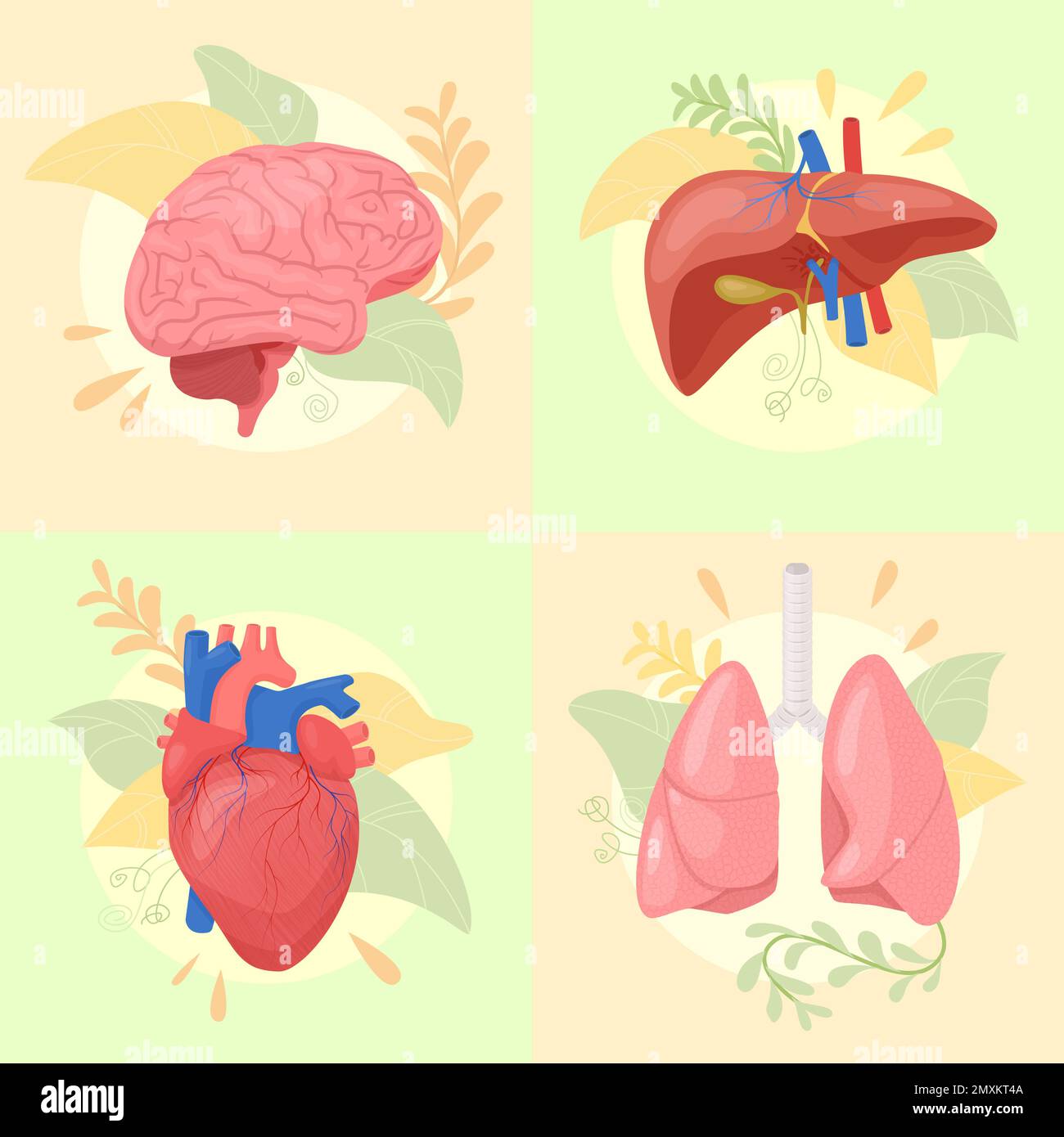 Organi umani piatti 2x2 Set di composizioni quadrate con elementi floreali e arti colorate illustrazioni vettoriali di organi interni Illustrazione Vettoriale