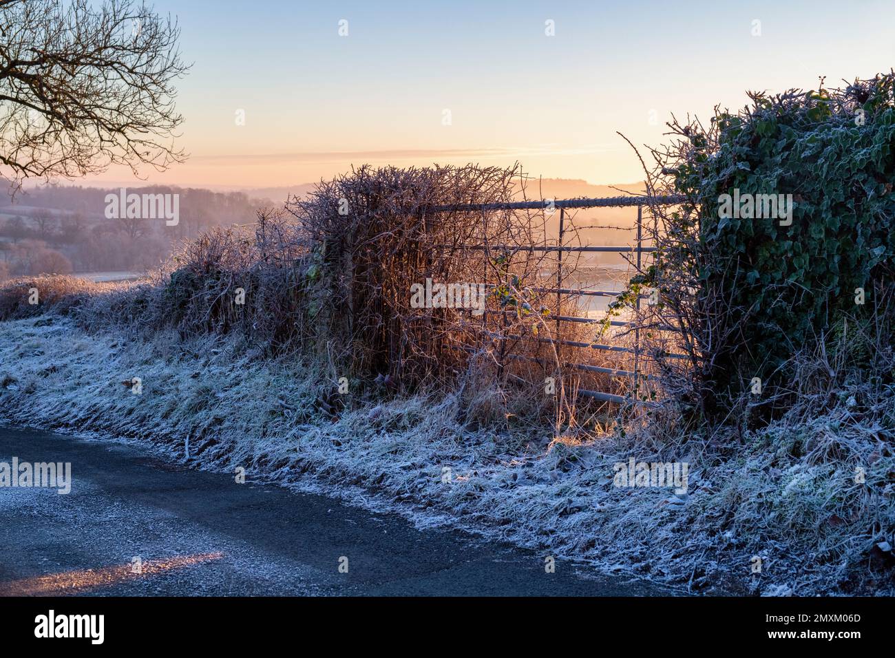 Cancello di fattoria gelido nella campagna cotswold di mattina presto subito dopo l'alba. Upper Slaughter, Cotswolds, Gloucestershire, Inghilterra Foto Stock