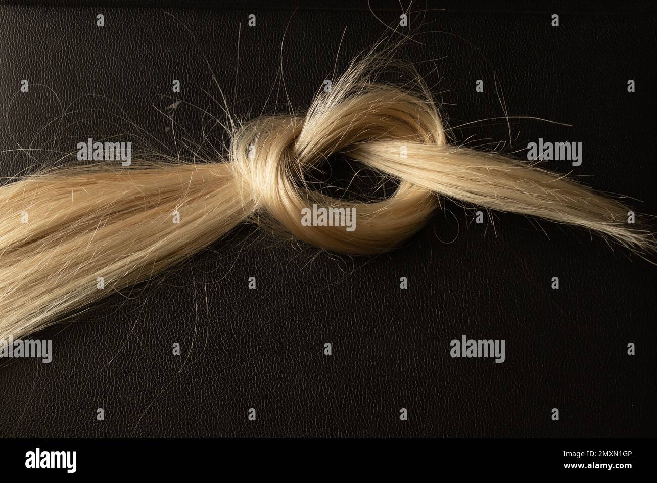 lavorato in un nodo di capelli biondi femmina su un nero Foto Stock