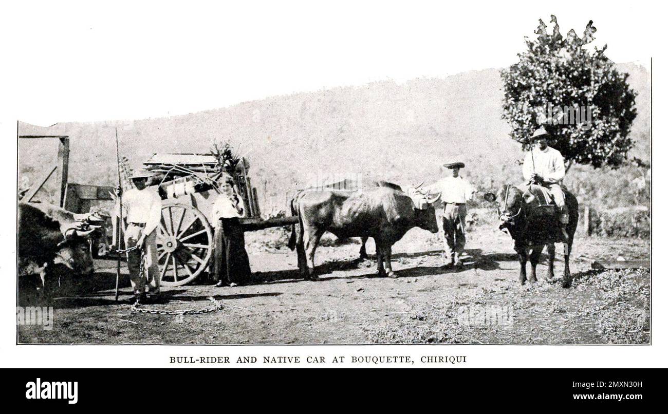 Bull-Rider e auto nativa a Bouquette, Chiriqui dal libro Panama e il canale in foto e prosa : Una storia completa di Panama, così come la storia, lo scopo e la promessa del suo canale famoso in tutto il mondo l'impresa di ingegneria più gigantesca dall'alba del tempo da Willis John Abbot,1863-1934 pubblicato a Londra ; New York da Syndicate Publishing Co. Nel 1913 Foto Stock