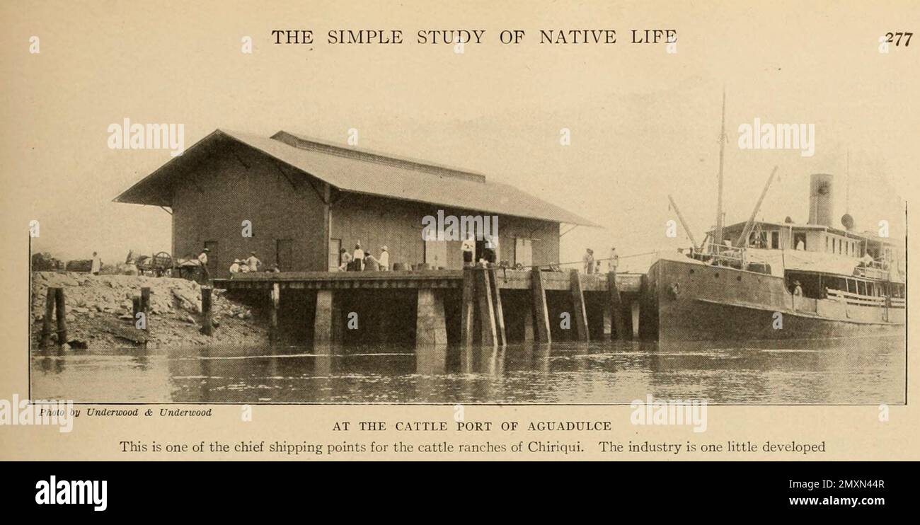 Al porto bovino di Aguadulce dal libro Panama e il canale in foto e prosa : Una storia completa di Panama, così come la storia, lo scopo e la promessa del suo canale famoso in tutto il mondo l'impresa di ingegneria più gigantesca dall'alba del tempo da Willis John Abbot,1863-1934 pubblicato a Londra ; New York da Syndicate Publishing Co. Nel 1913 Foto Stock