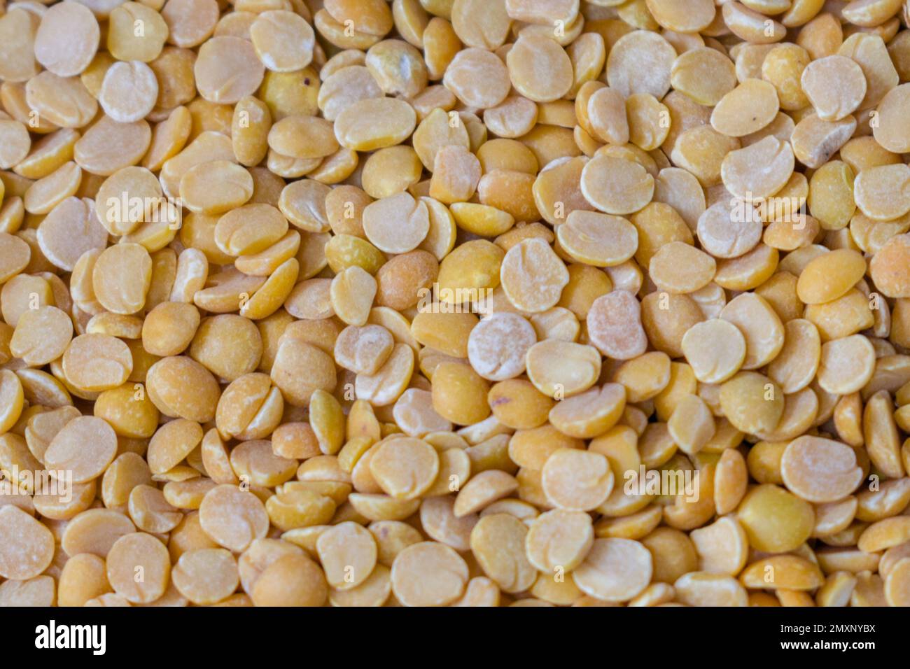 Una vista dall'alto texture sfondo pieno di piselli piccione chiamato anche Toor dal Foto Stock