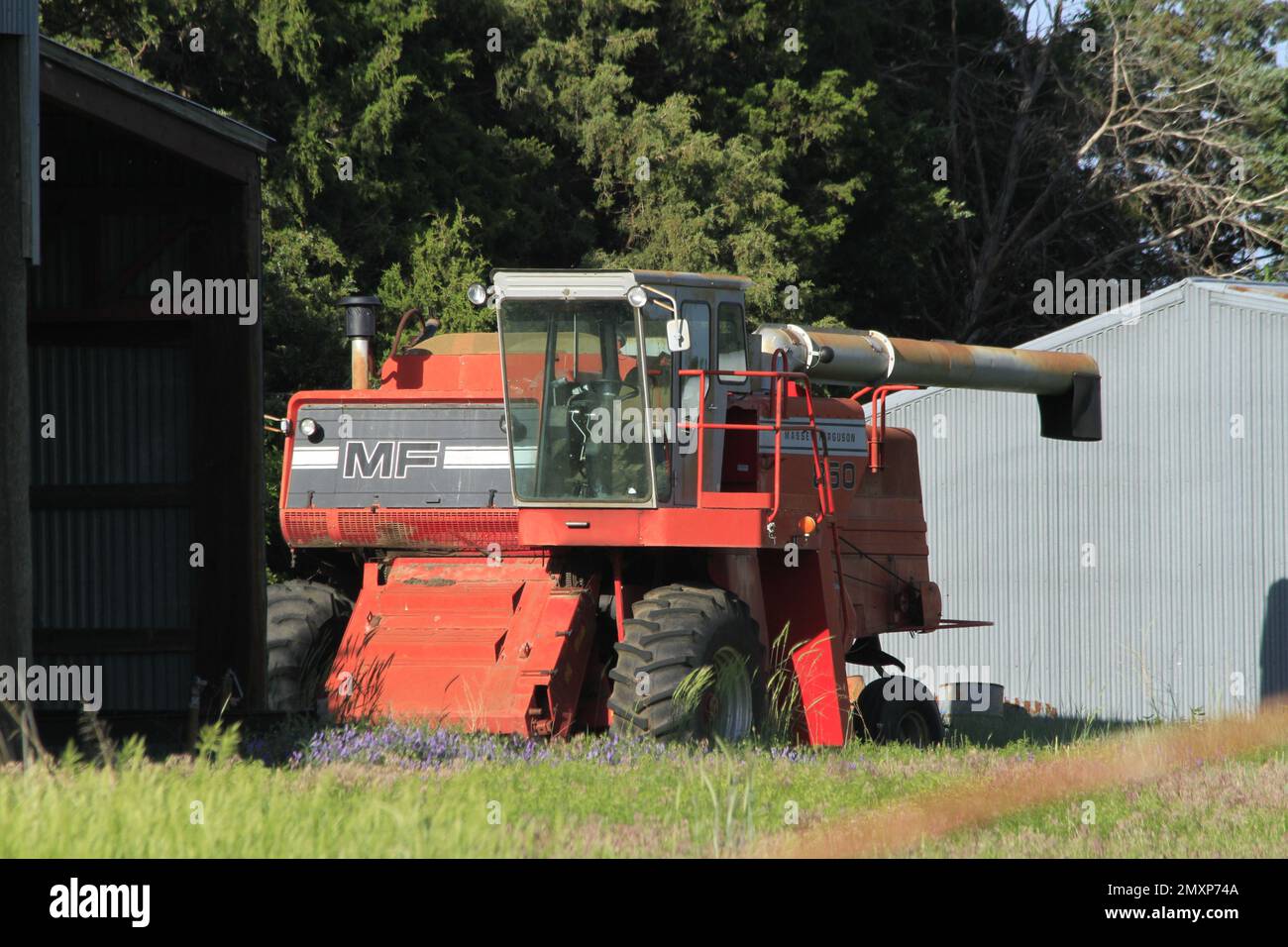 Una mietitrebbia Massey Furguson parcheggiata da un capannone con erba verde e alberi Foto Stock