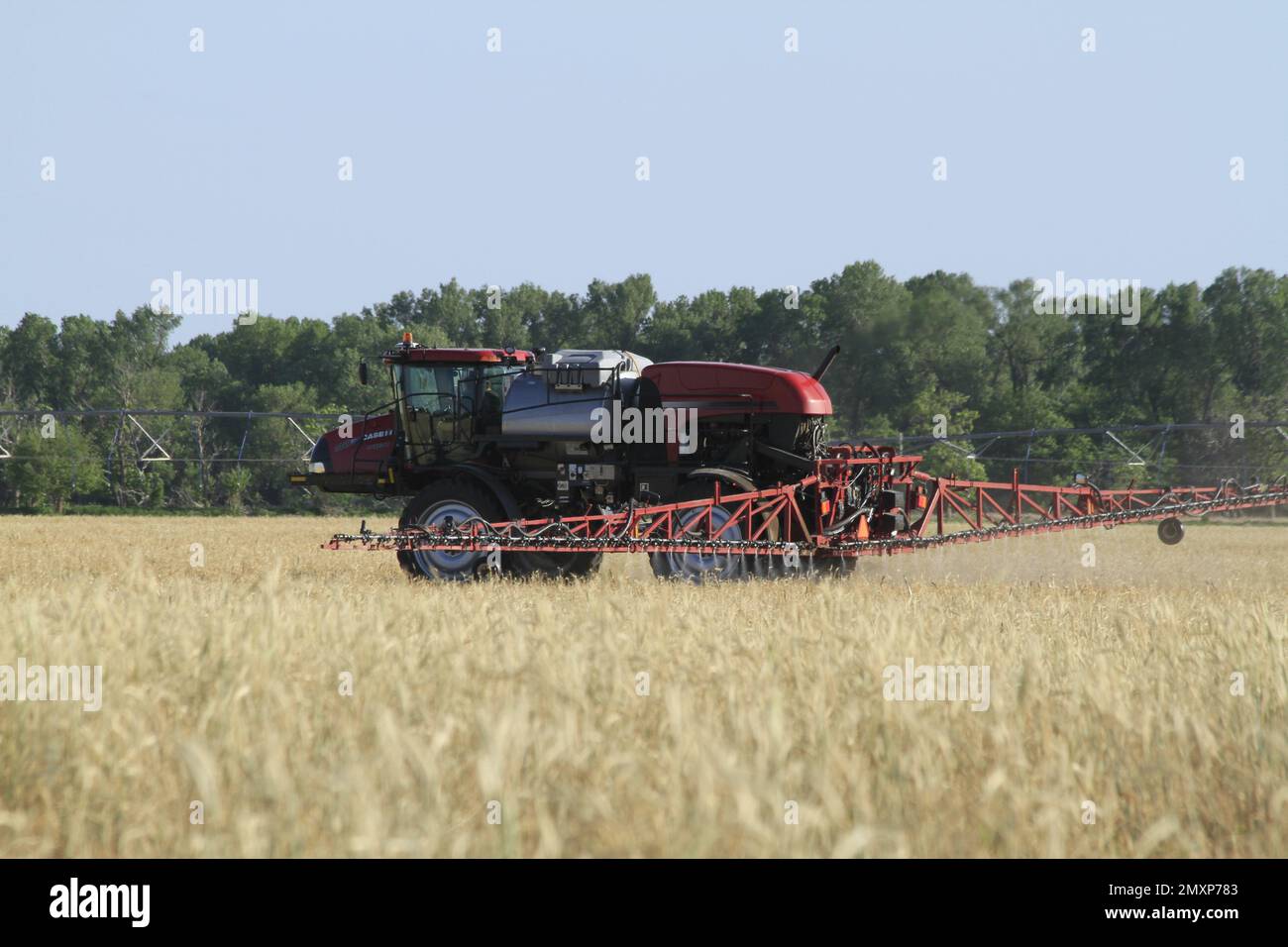 Un irroratrice Case irrorando un campo agricolo con cielo blu Foto Stock