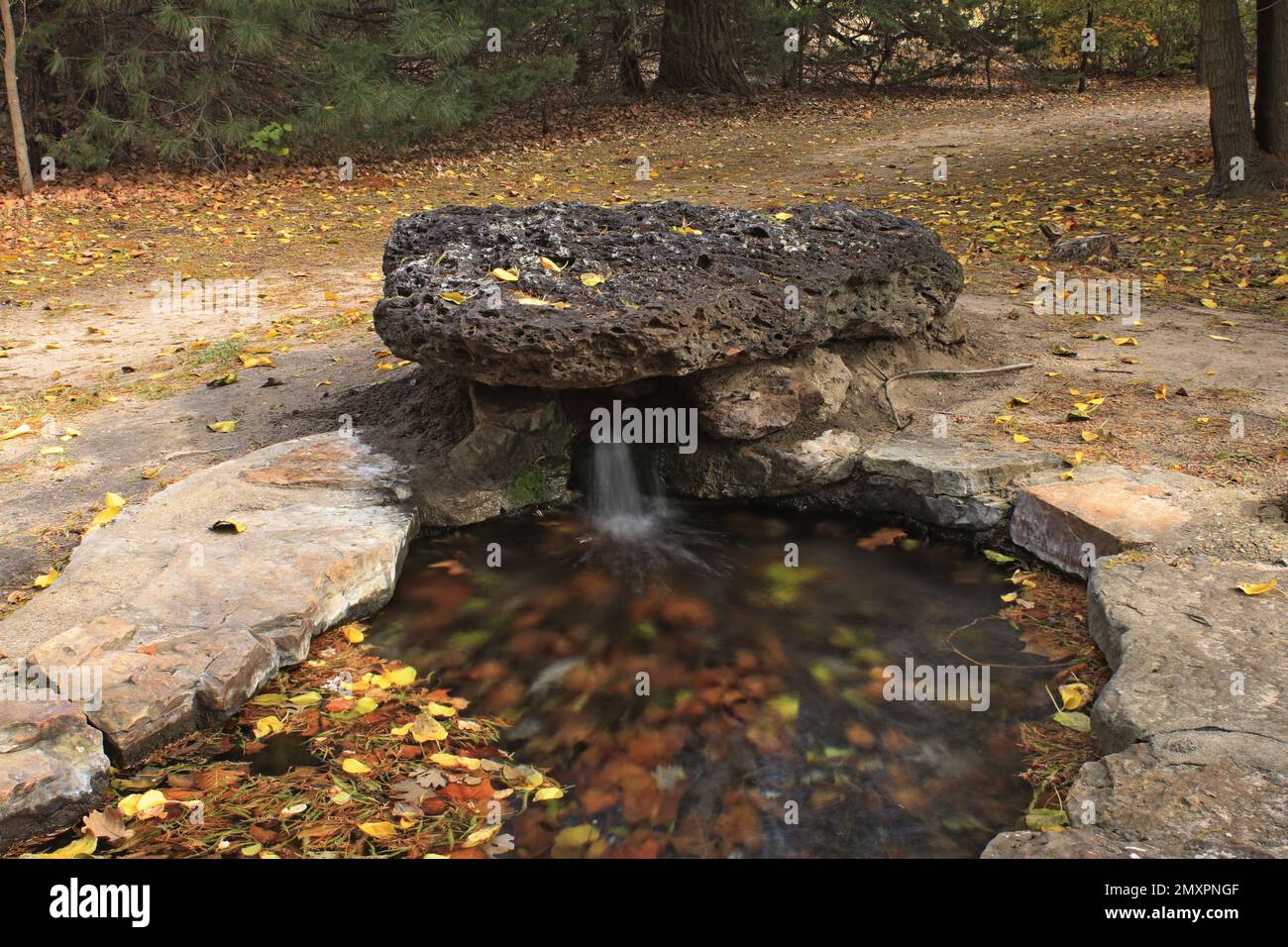 Una piccola caduta d'acqua in autunno con foglie colorate in acqua. Foto Stock