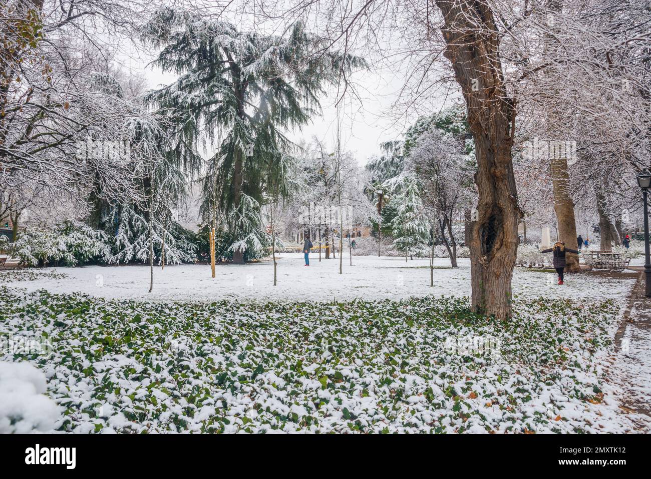 Coperta di neve il parco del Retiro. Madrid, Spagna. Foto Stock