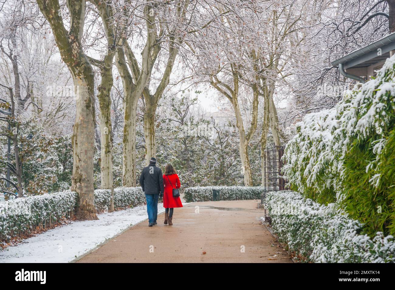 Coperta di neve il parco del Retiro. Madrid, Spagna. Foto Stock