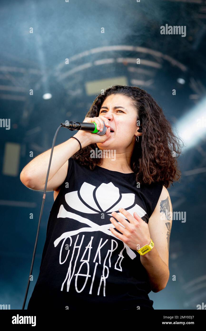 Francia 21 Giugno 2019 Stinky - live at Hell Fest Clisson © Andrea Ripamonti / Alamy Foto Stock