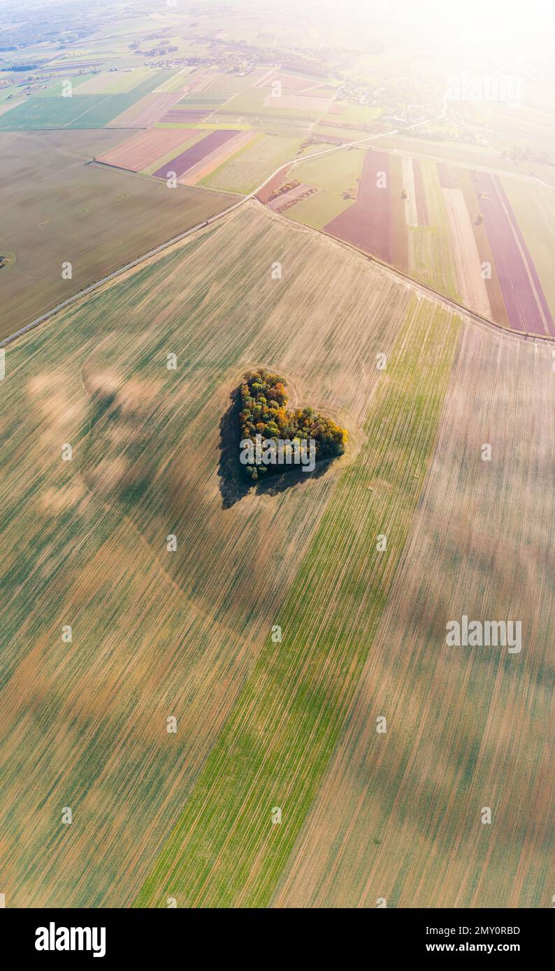 Cuore di una natura, vista aerea di autunno cuore a forma di foresta tra i campi agricoli Foto Stock