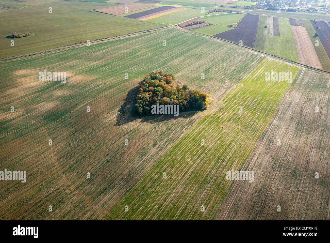 Cuore di una natura, vista aerea di autunno cuore a forma di foresta tra i campi agricoli Foto Stock