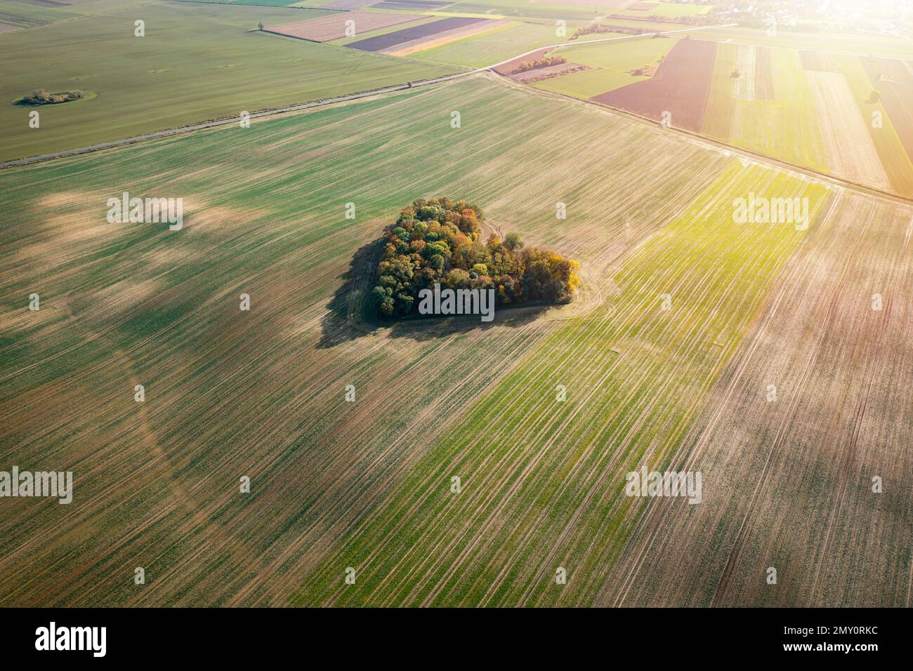Cuore di una natura, vista aerea di autunno cuore a forma di foresta tra i campi agricoli Foto Stock