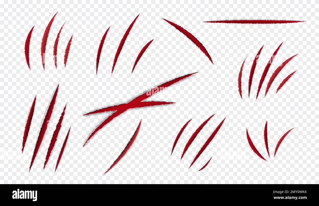 Graffi bestia set realistico con sfondo trasparente e graffio sanguinoso da artigli e animali selvatici denti illustrazione vettoriale Illustrazione Vettoriale