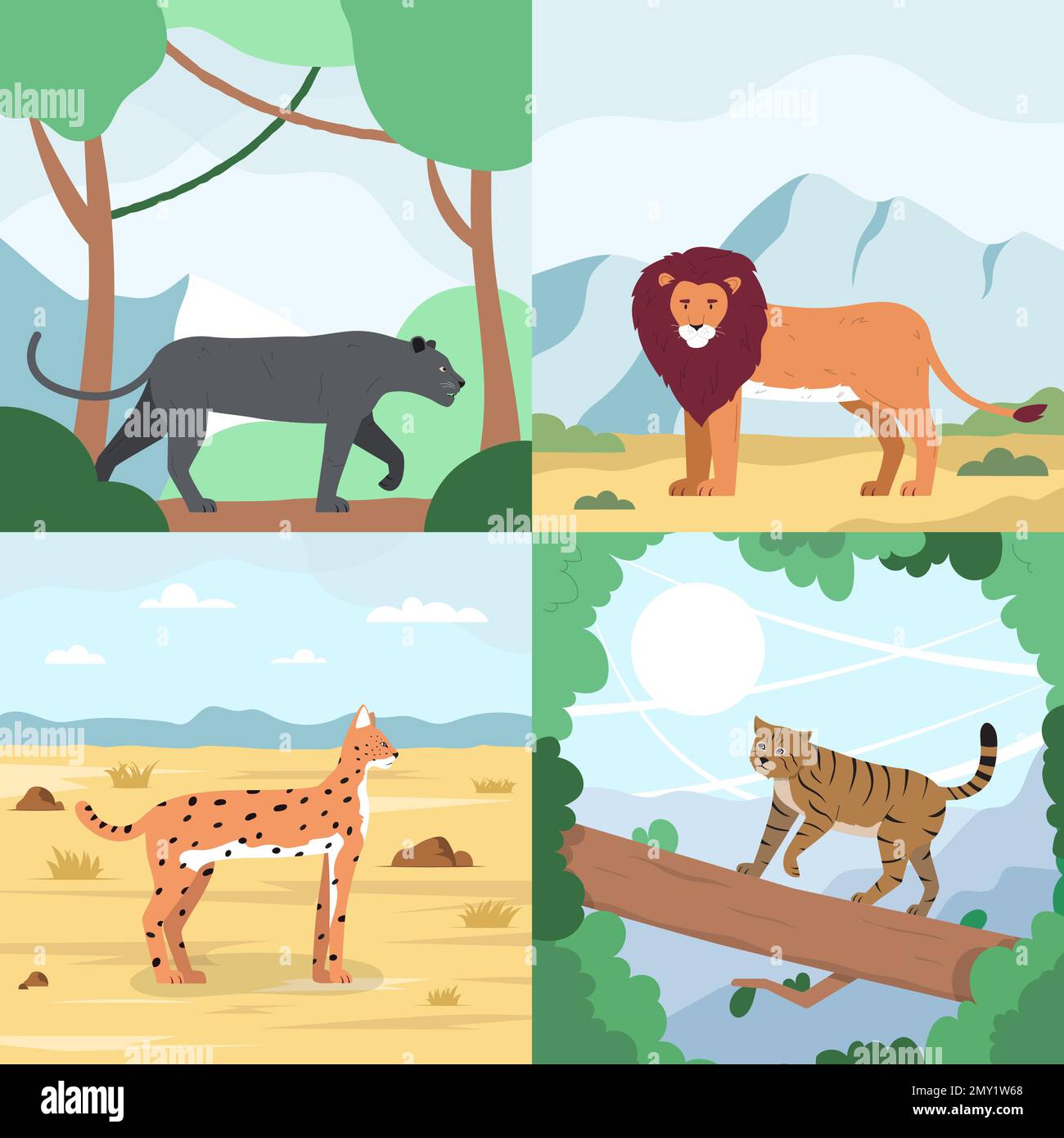 Gatti selvatici piatti 2x2 Set di composizioni quadrate con paesaggi all'aperto e felini in habitat naturale illustrazione vettoriale Illustrazione Vettoriale