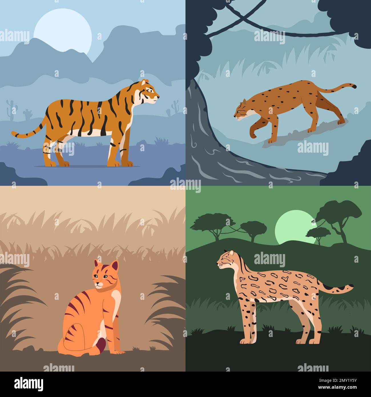 Gatti selvatici piatti 2x2 Set di composizioni quadrate con esotici paesaggi all'aperto con illustrazione vettoriale tigri e leopardi Illustrazione Vettoriale